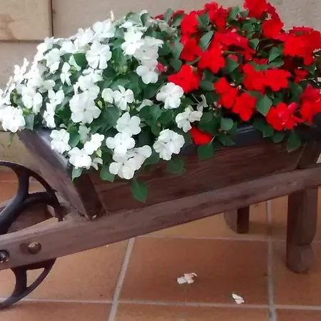 Casa La Vuelta Piedra